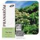 TEA TREE BIO ARBRE A THE 10 ML Pranarôm Huile Essentielle