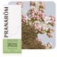 VALERIANE OFFICINALE 5 ML Pranarôm Huile Essentielle