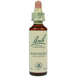 Fleur de Bach Originale  Honeysuckle-Chèvrefeuille N° 16 Lonicera caprifolium 20 ML