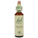 Fleur de Bach  Originale  Hornbeam-Le Charme  N°17 Carpinus betulus 20 ML