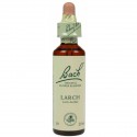 Fleur de Bach  Originale  Larch-Mélèze  N°19 Larix decidua 20 ML