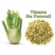 FENOUIL GRAINES 100GR