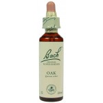 Fleur de Bach  Originale   Oak-Chêne  N°22 Quercus robur 20 ML