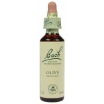 Fleur de Bach  Originale  Olive/Olivier  N°23 Olea europaea 20 ML