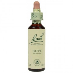 Fleur de Bach  Originale  Olive-Olivier  N°23 Olea europaea 20 ML