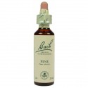 Fleur de Bach  Originale  Pine-Pin Sylvestre  N°24 Pinus sylvestris 20 ml