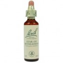 Fleur de Bach  Original  Star of Bethlehem-Etoile de Bethléem  N°29 Ornithogalum umbellatum 20 ML