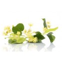 TILLEUL FLEURS ENTIERES 100GR