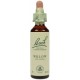 Fleur de Bach Originale Willow-Saule N°38 20 ML