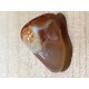 AGATE GALET