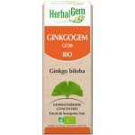 Ginkgogem 15 ml Bio Herbalgem