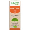 Ginkgogem 50 ml Bio Herbalgem