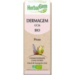 DERMAGEM GC26 BIO - BEAUTÉ DE LA PEAU EN GEMMOTHÉRAPIE 50 ML - HERBALGEM