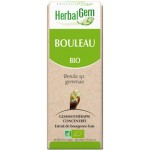 Bouleau (Betula) BIO, bourgeon, Herbalgem