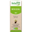 Bouleau (Betula) BIO, bourgeon, Herbalgem