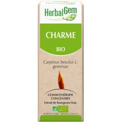 Macerat de Charme (Carpinus betulus) BIO, bourgeon, Herbalgem