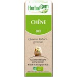 MACERAT DE CHENE BIO, bourgeon de Quercus robur, Herbalgem