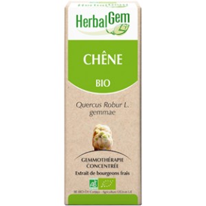 https://www.lherberie.com/2667-thickbox/macerat-de-chene-bio-bourgeon-de-quercus-robur-herbalgem.jpg