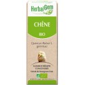 CHÊNE BOURGEON BIO - VITALITÉ ET ÉNERGIE 50 ML - HERBALGEM