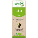 Frêne bourgeon 50 ml Bio - Herbalgem