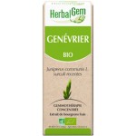 Genevrier bourgeon 15 ml Bio - Herbalgem