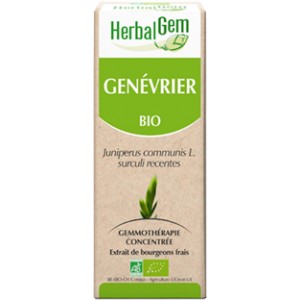 https://www.lherberie.com/2675-thickbox/genevrier-bourgeon-bio-tonique-et-depuratif-15-ml-herbalgem.jpg