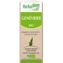 GENÉVRIER BOURGEON BIO - TONIQUE ET DÉPURATIF 15 ML - HERBALGEM