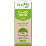 GINKGO BILOBA BOURGEON BIO - MÉMOIRE ET CIRCULATION 50 ML - HERBALGEM