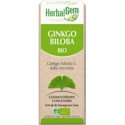 GINKGO BILOBA BOURGEON BIO - MÉMOIRE ET CIRCULATION 15 ML - HERBALGEM