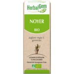 Noyer bourgeon 50 ml Bio - Herbalgem