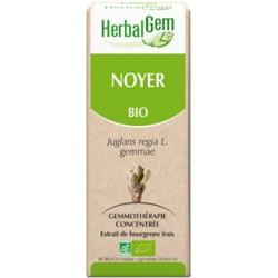 Noyer bourgeon 50 ml Bio - Herbalgem
