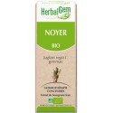 Noyer bourgeon 50 ml Bio - Herbalgem