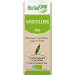 MYRTILLIER BOURGEON BIO - GLYCÉMIE ET VUE 50 ML - HERBALGEM