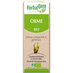 Orme bourgeon 50 ml Bio - Herbalgem