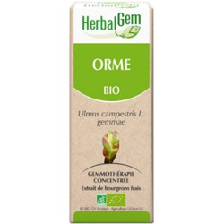 ORME BOURGEON BIO - DRAINEUR ET PEAU 50 ML - HERBALGEM