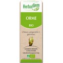 ORME BOURGEON BIO - DRAINEUR ET PEAU 50 ML - HERBALGEM