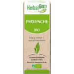 PERVENCHE BOURGEON BIO - 50 ML - HERBALGEM