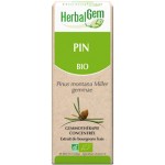 Pin bourgeon 50 ml Bio - Herbalgem