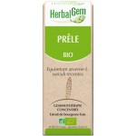 Prêle bourgeons bio - 15 ml - Herbalgem