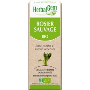 https://www.lherberie.com/2693-thickbox/rosier-sauvage-bourgeon-bio-defenses-immunitaires-de-l-enfant-50-ml-herbalgem.jpg