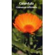 Fleurs de Californie CALENDULA SOUCI DES JARDINS 7,5ml