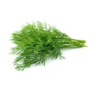 https://www.lherberie.com/2714-thickbox/fleurs-de-californie-dill-aneth.jpg