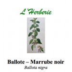 BALLOTE MARRUBE NOIR 100GR