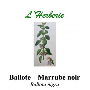 https://www.lherberie.com/2787-thickbox/ballote-marrube-noir-100gr.jpg