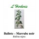 BALLOTE MARRUBE NOIR 100GR