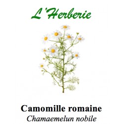 CAMOMILLE ROMAINE FL ENT 100GR