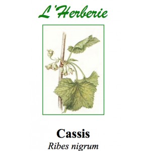 https://www.lherberie.com/2803-thickbox/cassis-feuilles-100gr.jpg