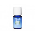 huile essentielle palo santo bois sacre