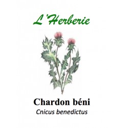 Chardon béni 100GR