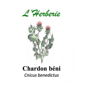 https://www.lherberie.com/2841-thickbox/chardon-beni-100gr.jpg